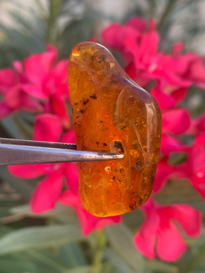 Amber, pebble with spider inclusion, 40mm x 20 x 10 - 4.1 grams. Superb piece for jewelry or collection!