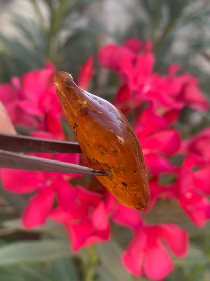 Amber, pebble with spider inclusion, 40mm x 20 x 10 - 4.1 grams. Superb piece for jewelry or collection!
