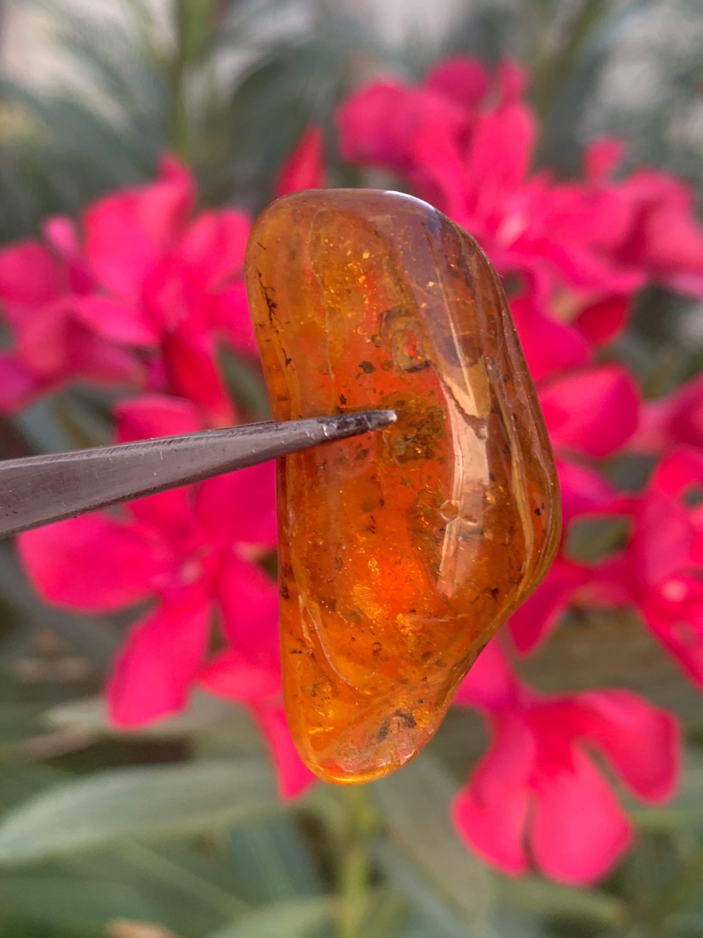 Amber, pebble with spider inclusion, 40mm x 20 x 10 - 4.1 grams. Superb piece for jewelry or collection!