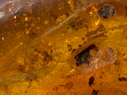 Amber, pebble with spider inclusion, 40mm x 20 x 10 - 4.1 grams. Superb piece for jewelry or collection!