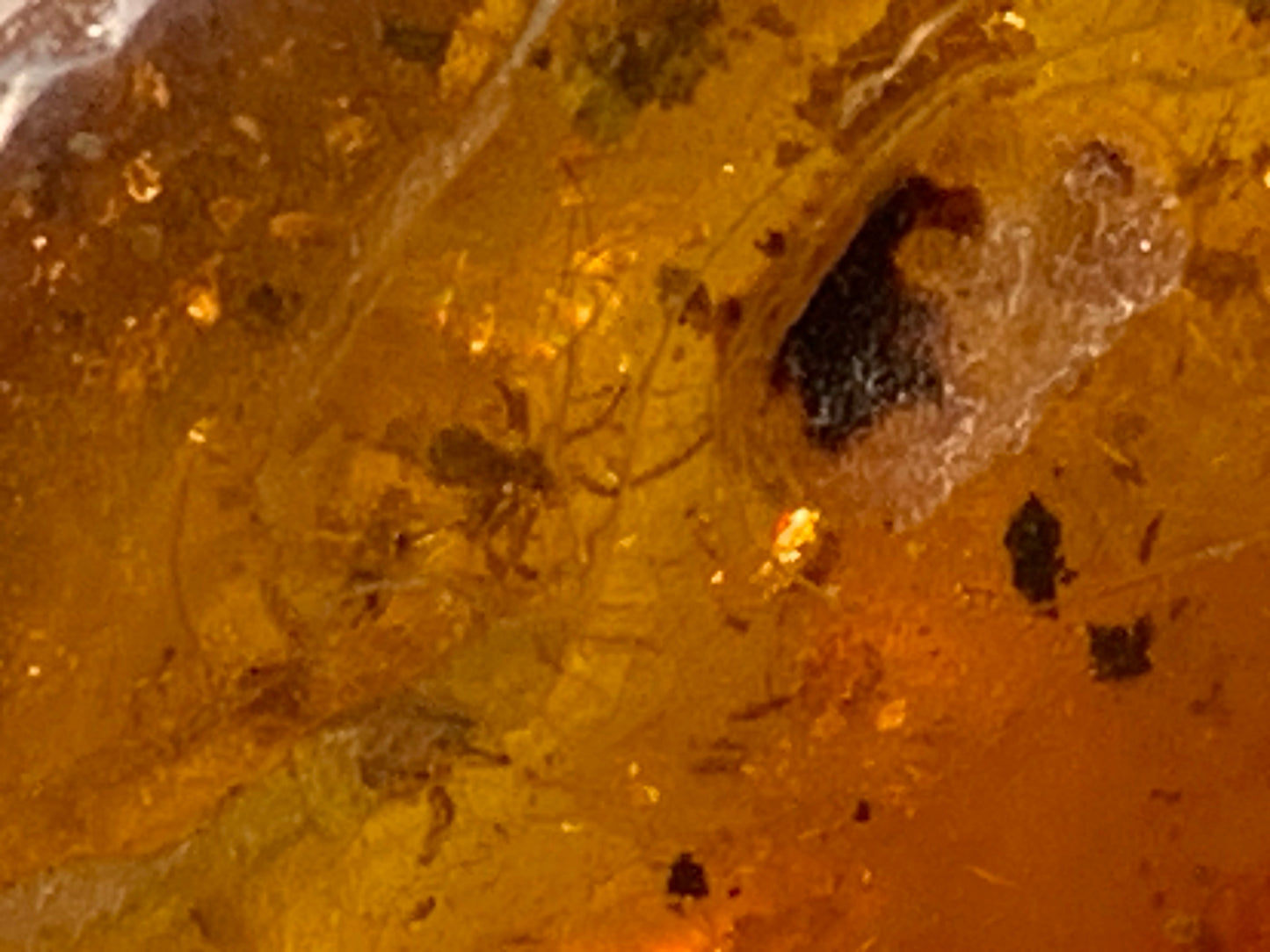 Amber, pebble with spider inclusion, 40mm x 20 x 10 - 4.1 grams. Superb piece for jewelry or collection!