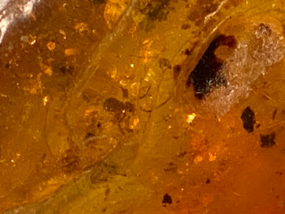Amber, pebble with spider inclusion, 40mm x 20 x 10 - 4.1 grams. Superb piece for jewelry or collection!