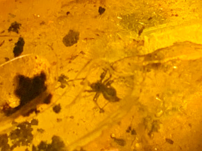 Amber, pebble with spider inclusion, 40mm x 20 x 10 - 4.1 grams. Superb piece for jewelry or collection!