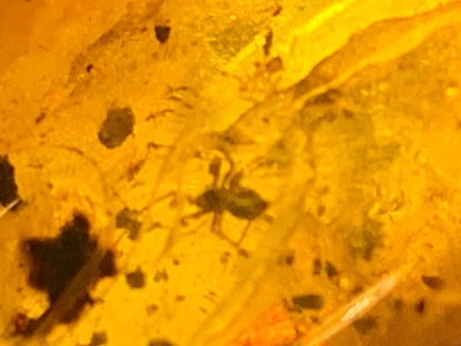 Amber, pebble with spider inclusion, 40mm x 20 x 10 - 4.1 grams. Superb piece for jewelry or collection!