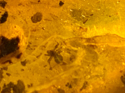 Amber, pebble with spider inclusion, 40mm x 20 x 10 - 4.1 grams. Superb piece for jewelry or collection!