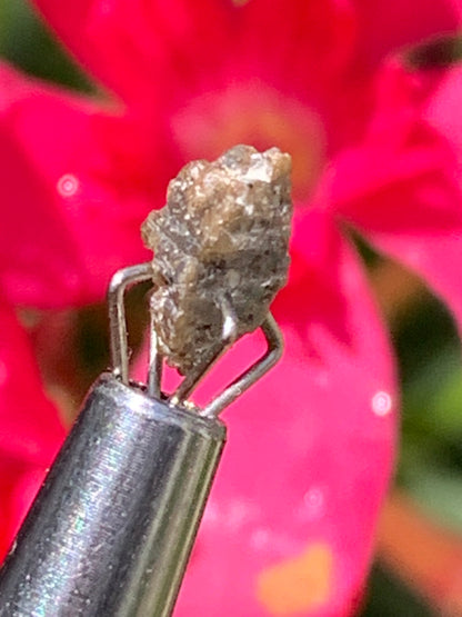 Anatase Diamantina, 8 mm x 3,3 x 3,3 - 1 gramme environ. Beau spécimen, cristaux parfois teintés de bleu (Titane) ou d’or !