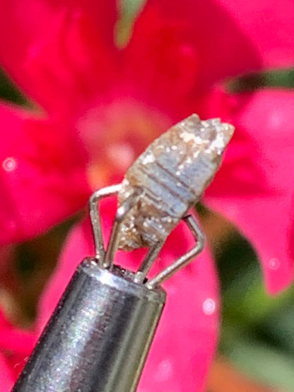 Anatase Diamantina, 8 mm x 3,3 x 3,3 - 1 gramme environ. Beau spécimen, cristaux parfois teintés de bleu (Titane) ou d’or !