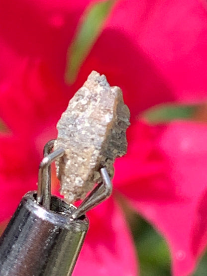 Anatase Diamantina, 8 mm x 3,3 x 3,3 - 1 gramme environ. Beau spécimen, cristaux parfois teintés de bleu (Titane) ou d’or !