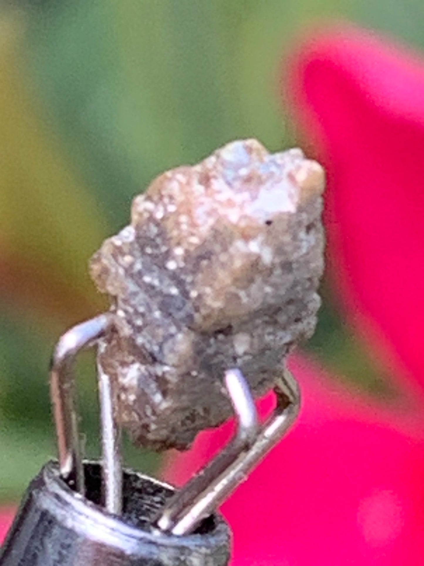 Anatase Diamantina, 8 mm x 3,3 x 3,3 - 1 gramme environ. Beau spécimen, cristaux parfois teintés de bleu (Titane) ou d’or !