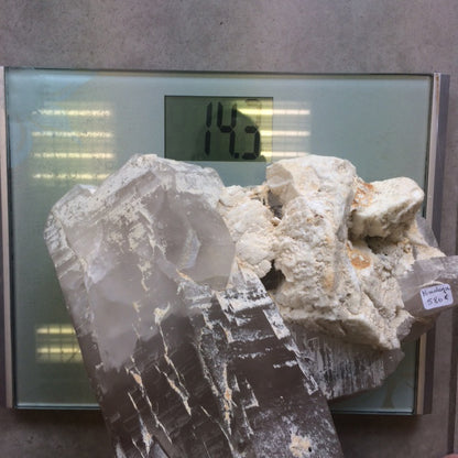 Quartz/ Cristal de roche géant de 14,3 kilogrammes venant de l'Himalaya (Pakistan). Magnifique et impressionnant spécimen !