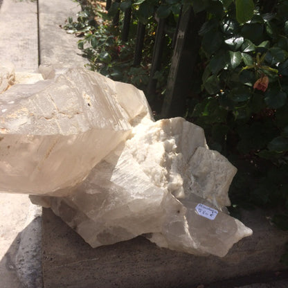 Quartz/ Cristal de roche géant de 14,3 kilogrammes venant de l'Himalaya (Pakistan). Magnifique et impressionnant spécimen !
