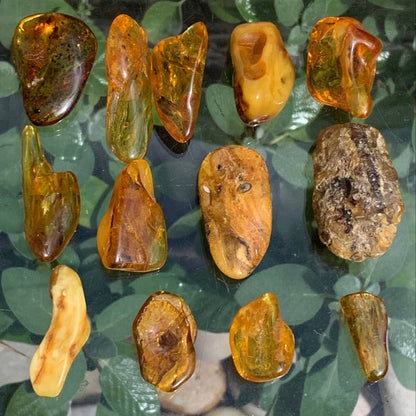 Lithuanian amber, a selection of tumbled (polished) specimens, premium quality. 40x25x15 mm on average! Perfect for jewelry, collecting, etc.