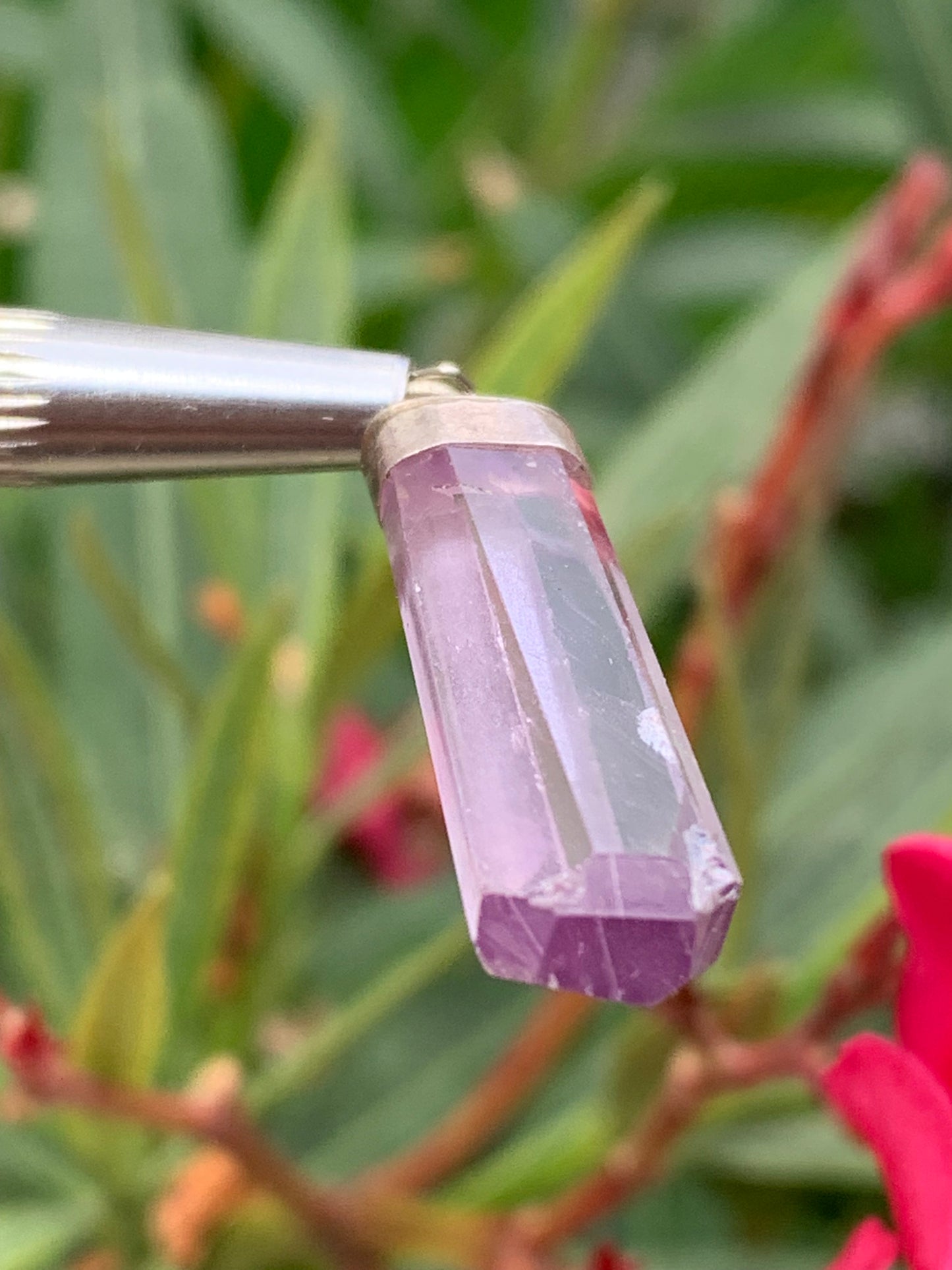 Kunzite naturelle, pendentif sertis sur Argent ! Pièce unique de 43 millimètres x9 x6. Vendu avec cordon réglable de couleur noire !