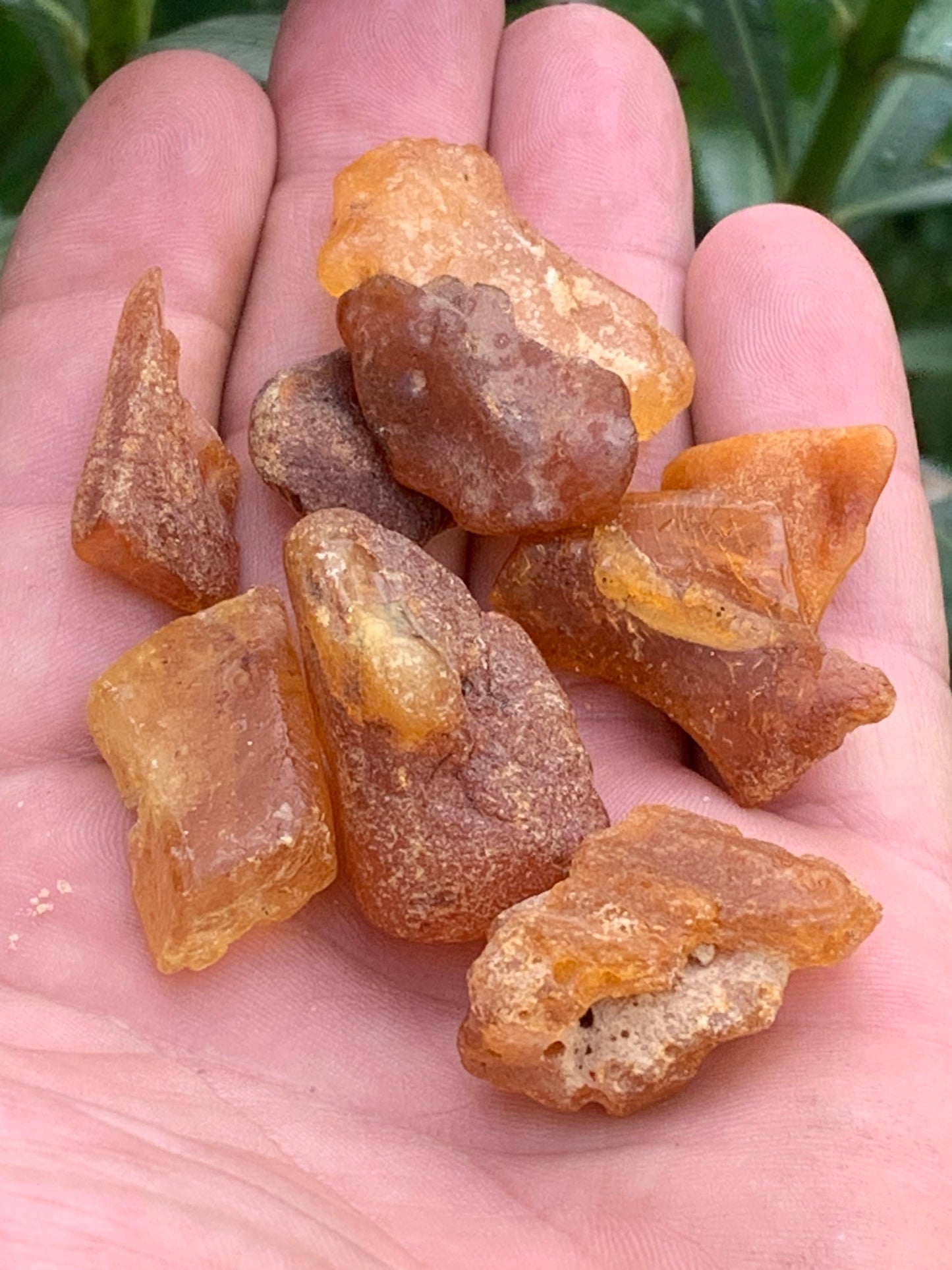 Raw amber from Lithuania, sold in 25-gram batches. Average size: 40x25x15 mm! Perfect for jewelry, collecting, and more.