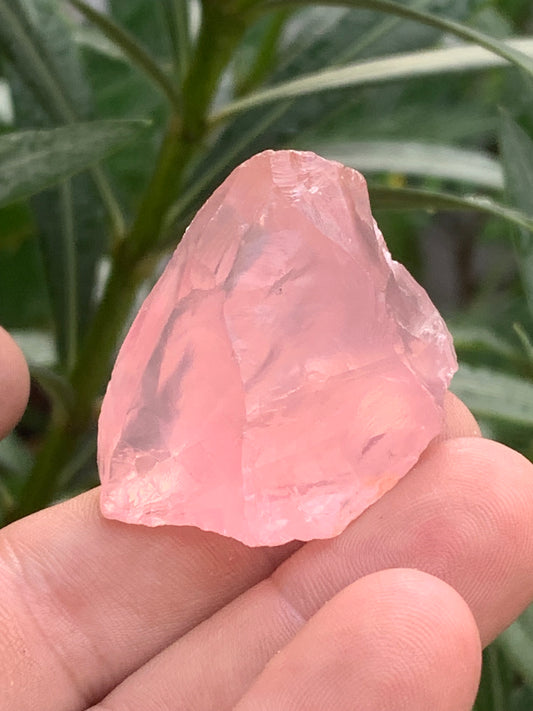 Quartz rose qualité 'gemme' (rare) de 44 x30 x27 millimètres - 35,2 grammes. Superbe qualité, parfait pour vos collections, expositions...