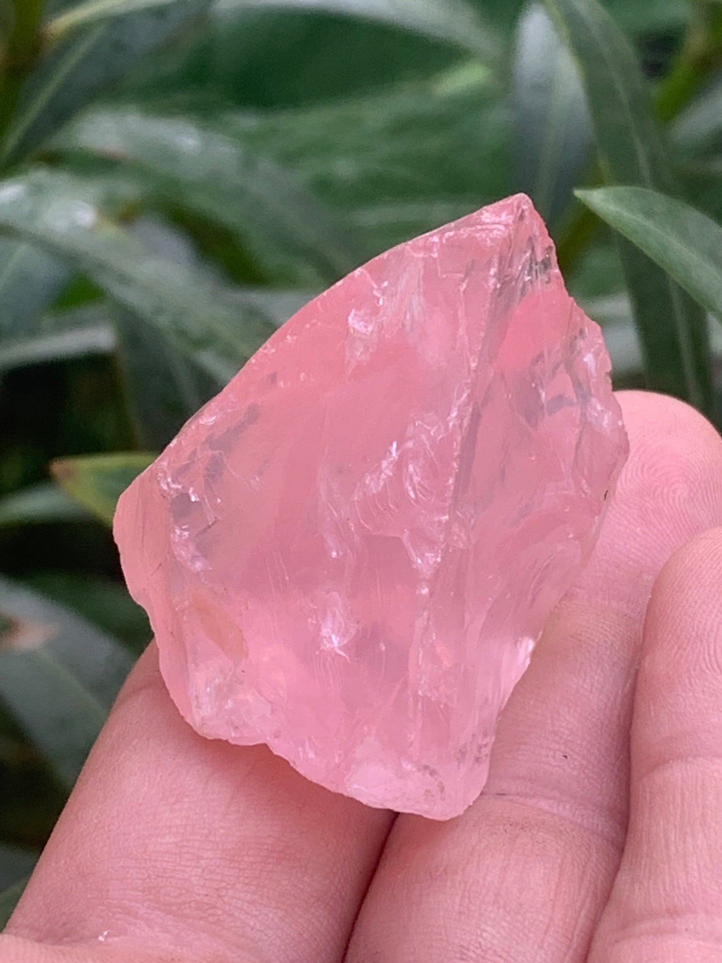 Quartz rose qualité 'gemme' (rare) de 44 x30 x27 millimètres - 35,2 grammes. Superbe qualité, parfait pour vos collections, expositions...