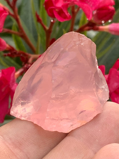 Quartz rose qualité 'gemme' (rare) de 44 x30 x27 millimètres - 35,2 grammes. Superbe qualité, parfait pour vos collections, expositions...