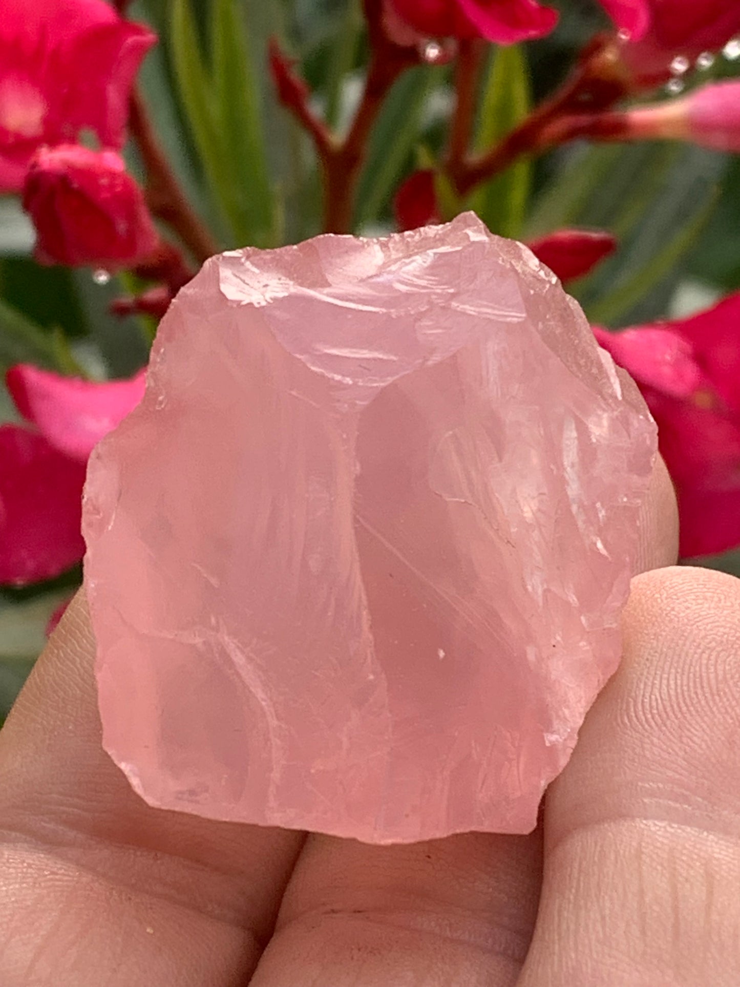 Quartz rose qualité 'gemme' (rare) de 40 x32 x28 millimètres - 38,3 grammes. Superbe qualité, parfait pour vos collections, expositions...