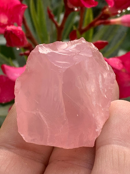 Quartz rose qualité 'gemme' (rare) de 40 x32 x28 millimètres - 38,3 grammes. Superbe qualité, parfait pour vos collections, expositions...