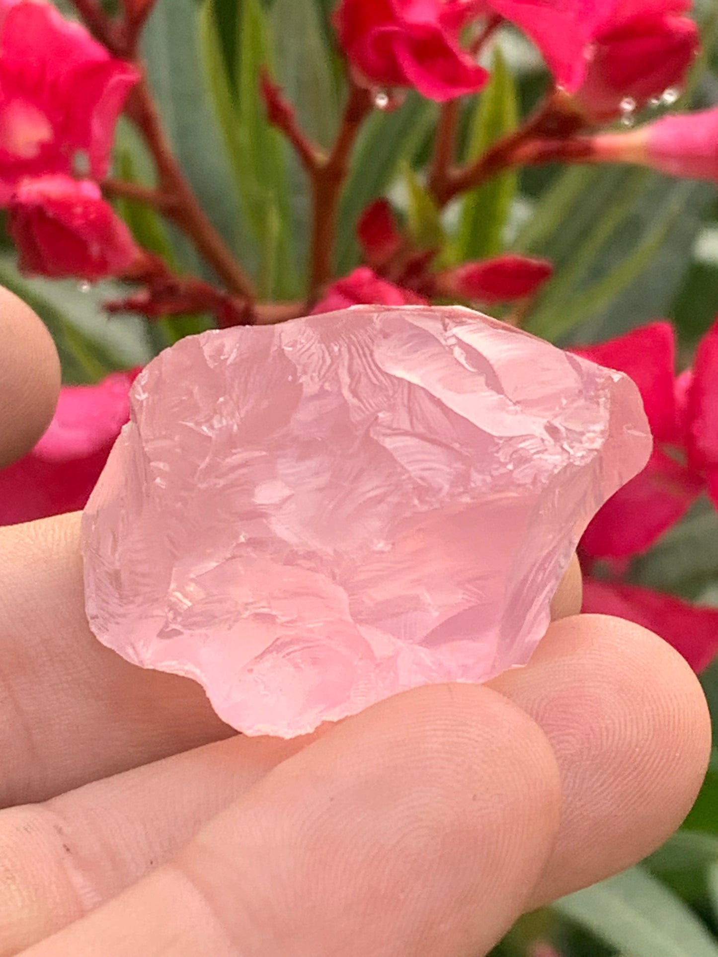 Quartz rose qualité 'gemme' (rare) de 43 x30 x28 millimètres - 37,5 grammes. Superbe qualité, parfait pour vos collections, expositions...