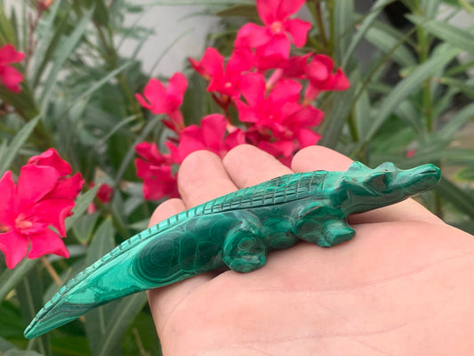 Malachite, superbe crocodile de 83,7 grammes - 122mm x 32 x 17. Parfait pour une collection, exposition, décoration ! !