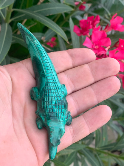 Malachite, superbe crocodile de 83,7 grammes - 122mm x 32 x 17. Parfait pour une collection, exposition, décoration ! !