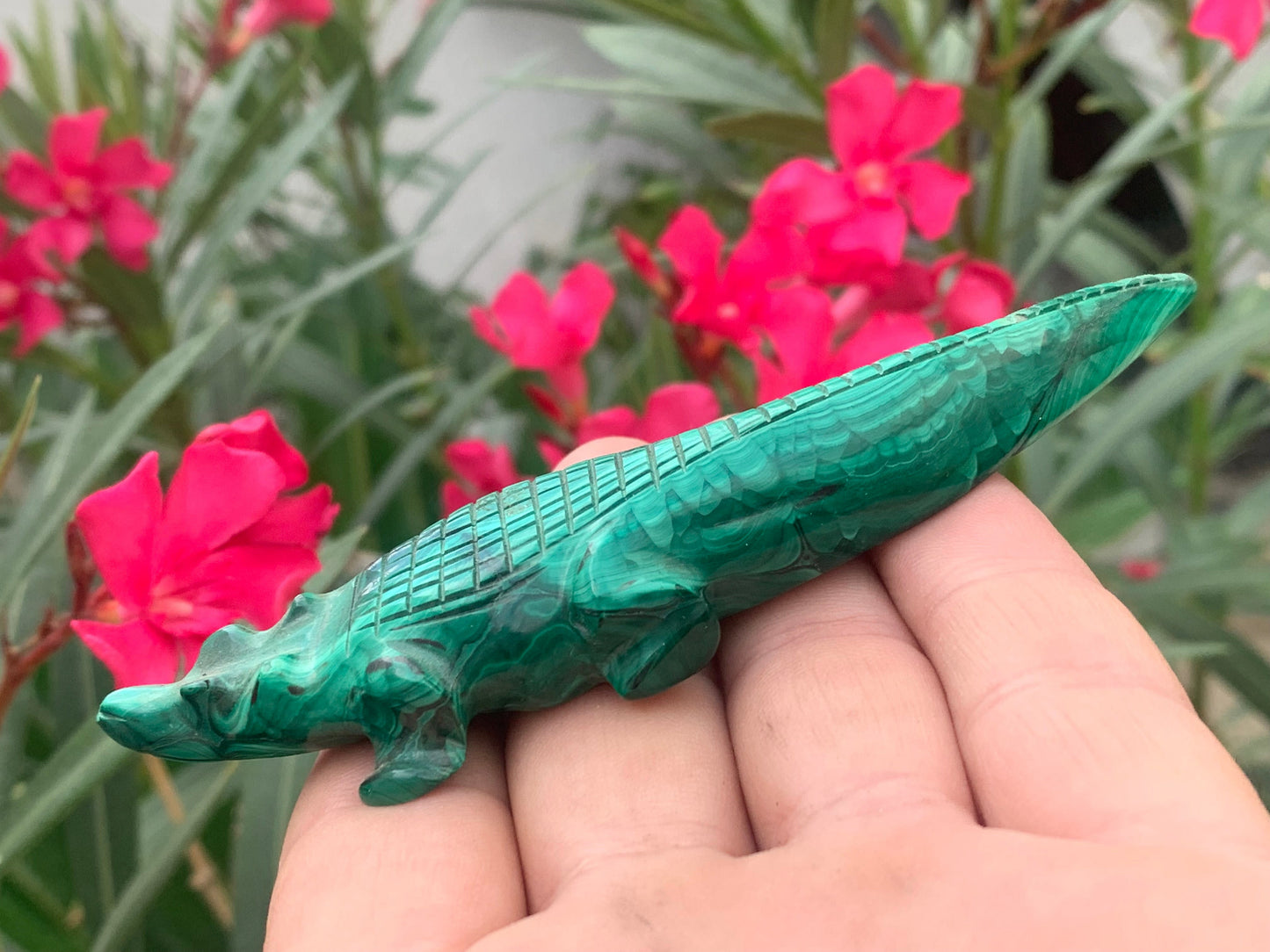 Malachite, superbe crocodile de 83,7 grammes - 122mm x 32 x 17. Parfait pour une collection, exposition, décoration ! !