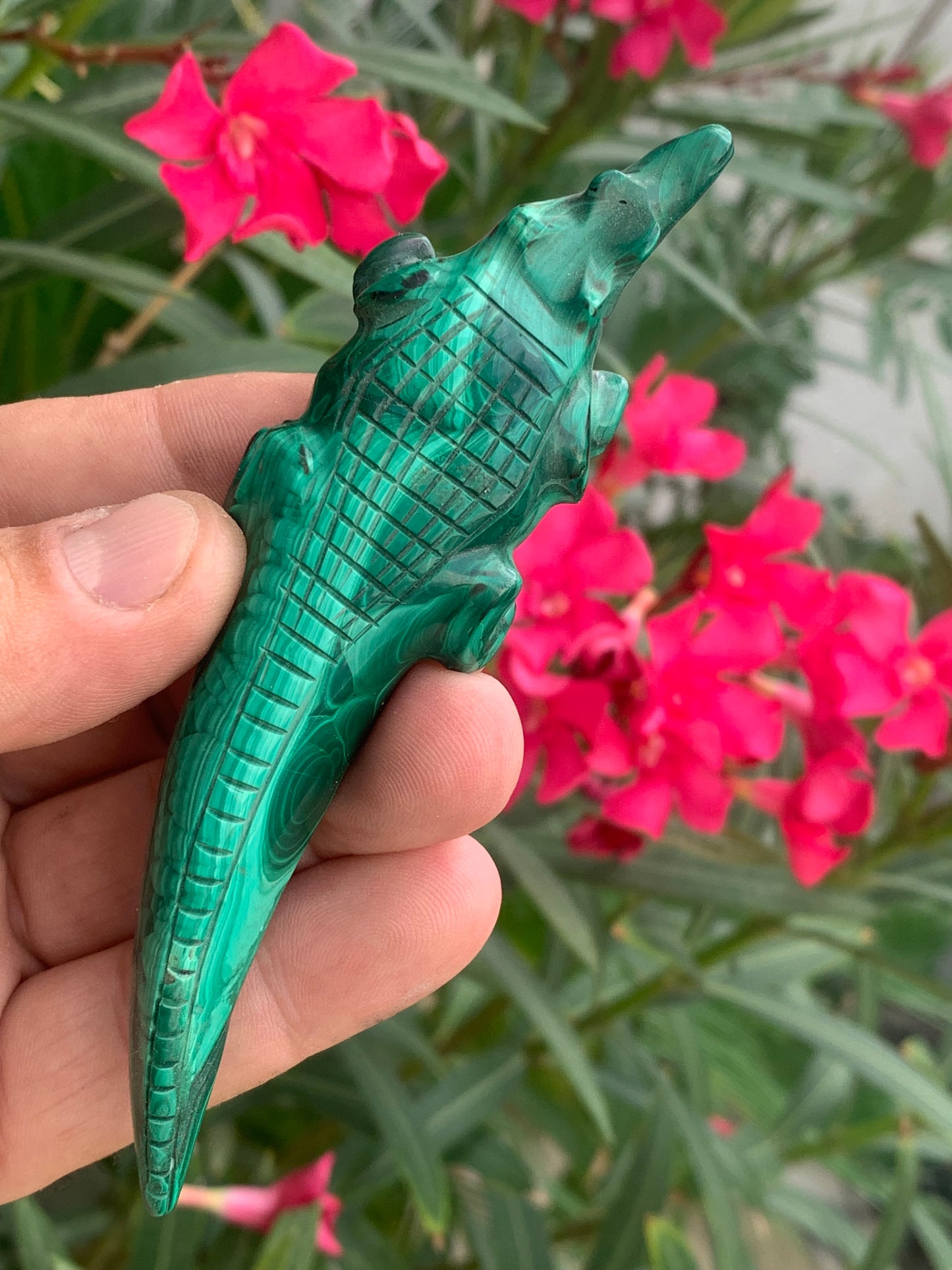 Malachite, superbe crocodile de 83,7 grammes - 122mm x 32 x 17. Parfait pour une collection, exposition, décoration ! !