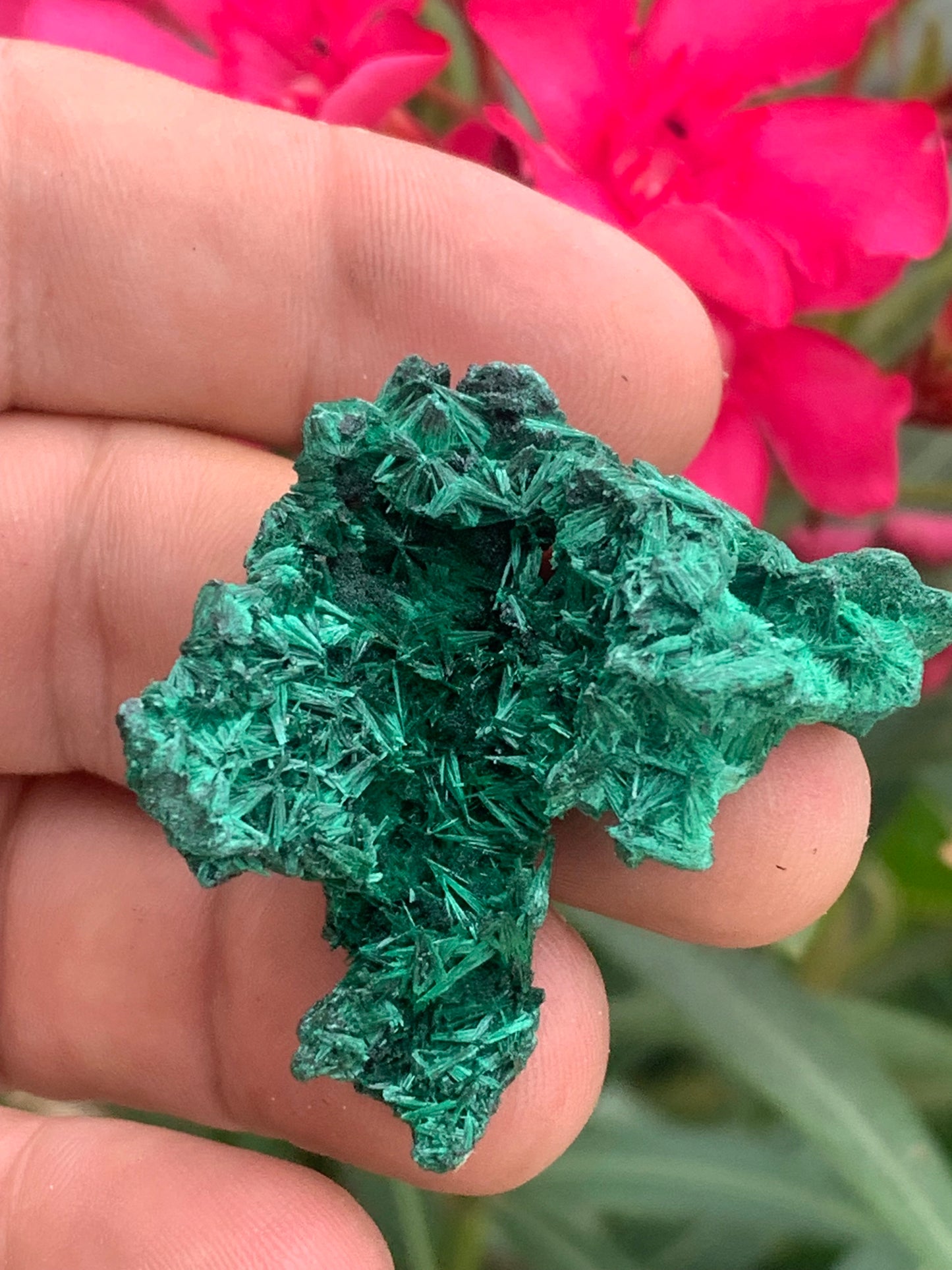 Malachite fibreuse, spécimen brut de 46mm x 46 x 27 - 17 grammes. Parfait pour une collection, exposition ou bijouterie, du velour naturel !