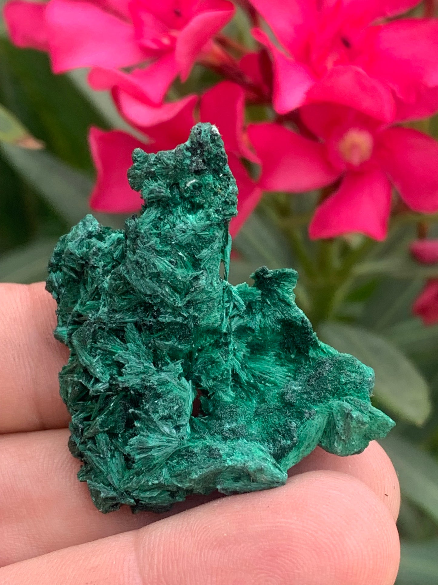 Malachite fibreuse, spécimen brut de 46mm x 46 x 27 - 17 grammes. Parfait pour une collection, exposition ou bijouterie, du velour naturel !