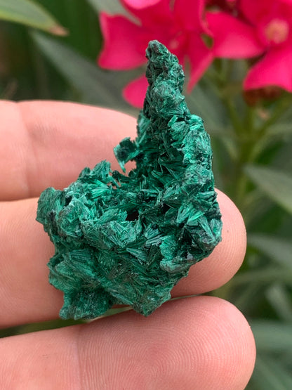 Malachite fibreuse, spécimen brut de 46mm x 46 x 27 - 17 grammes. Parfait pour une collection, exposition ou bijouterie, du velour naturel !