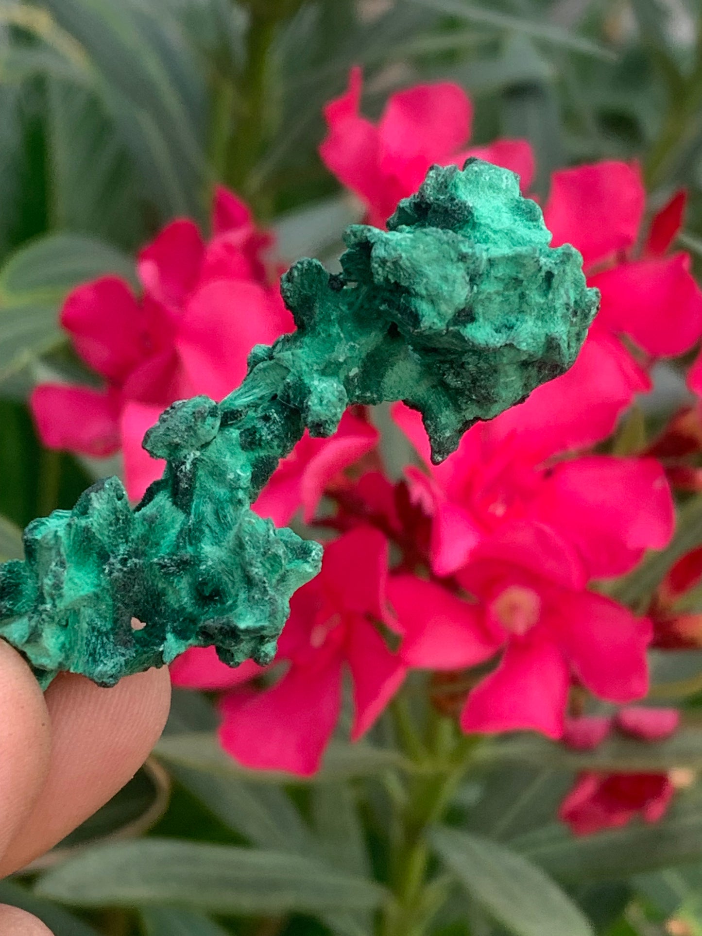 Malachite fibreuse, spécimen brut de 62mm x 27 x 24 - 17,3 grammes. Parfait pour une collection, exposition ou bijouterie, du velour naturel !
