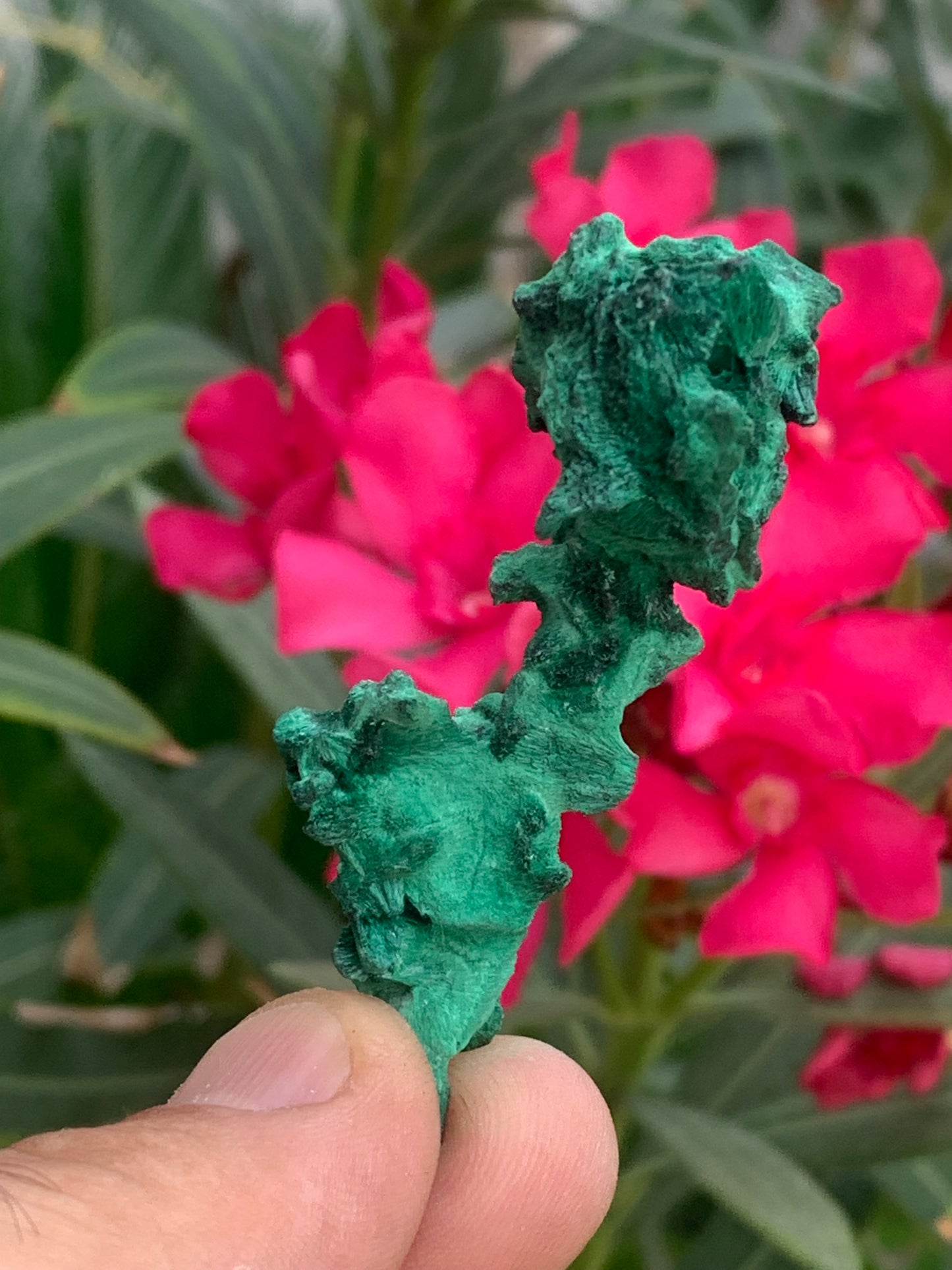 Malachite fibreuse, spécimen brut de 62mm x 27 x 24 - 17,3 grammes. Parfait pour une collection, exposition ou bijouterie, du velour naturel !
