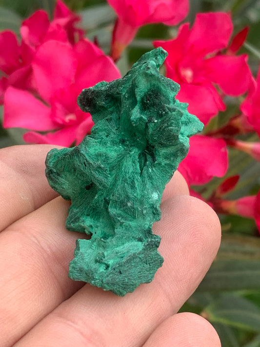 Malachite fibreuse, spécimen brut de 55mm x 30 x 28 - 35,7 grammes. Parfait pour une collection, exposition ou bijouterie, du velour naturel !