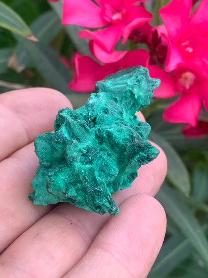 Malachite fibreuse, spécimen brut de 55mm x 30 x 28 - 35,7 grammes. Parfait pour une collection, exposition ou bijouterie, du velour naturel !