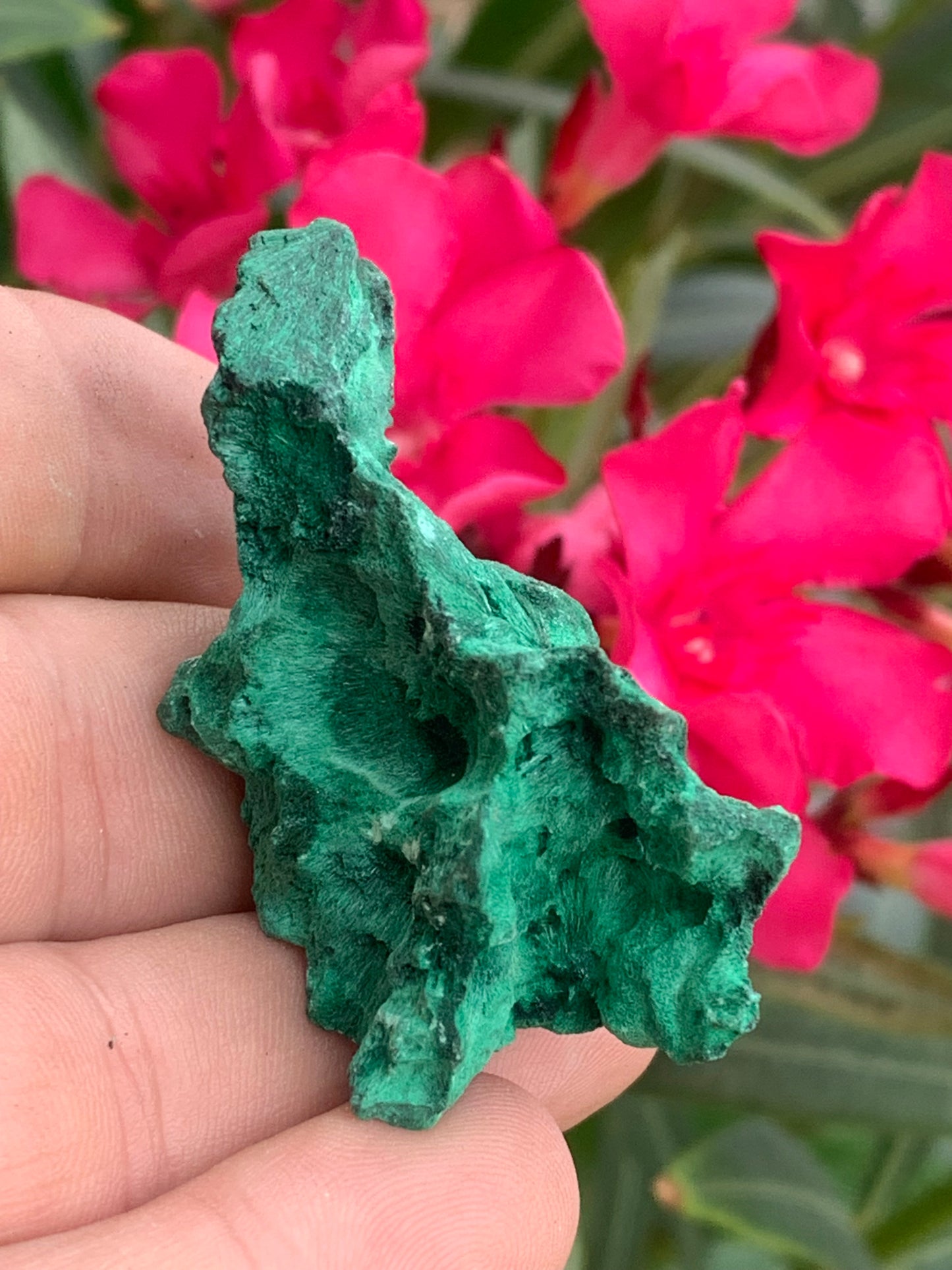 Malachite fibreuse, spécimen brut de 55mm x 30 x 28 - 35,7 grammes. Parfait pour une collection, exposition ou bijouterie, du velour naturel !
