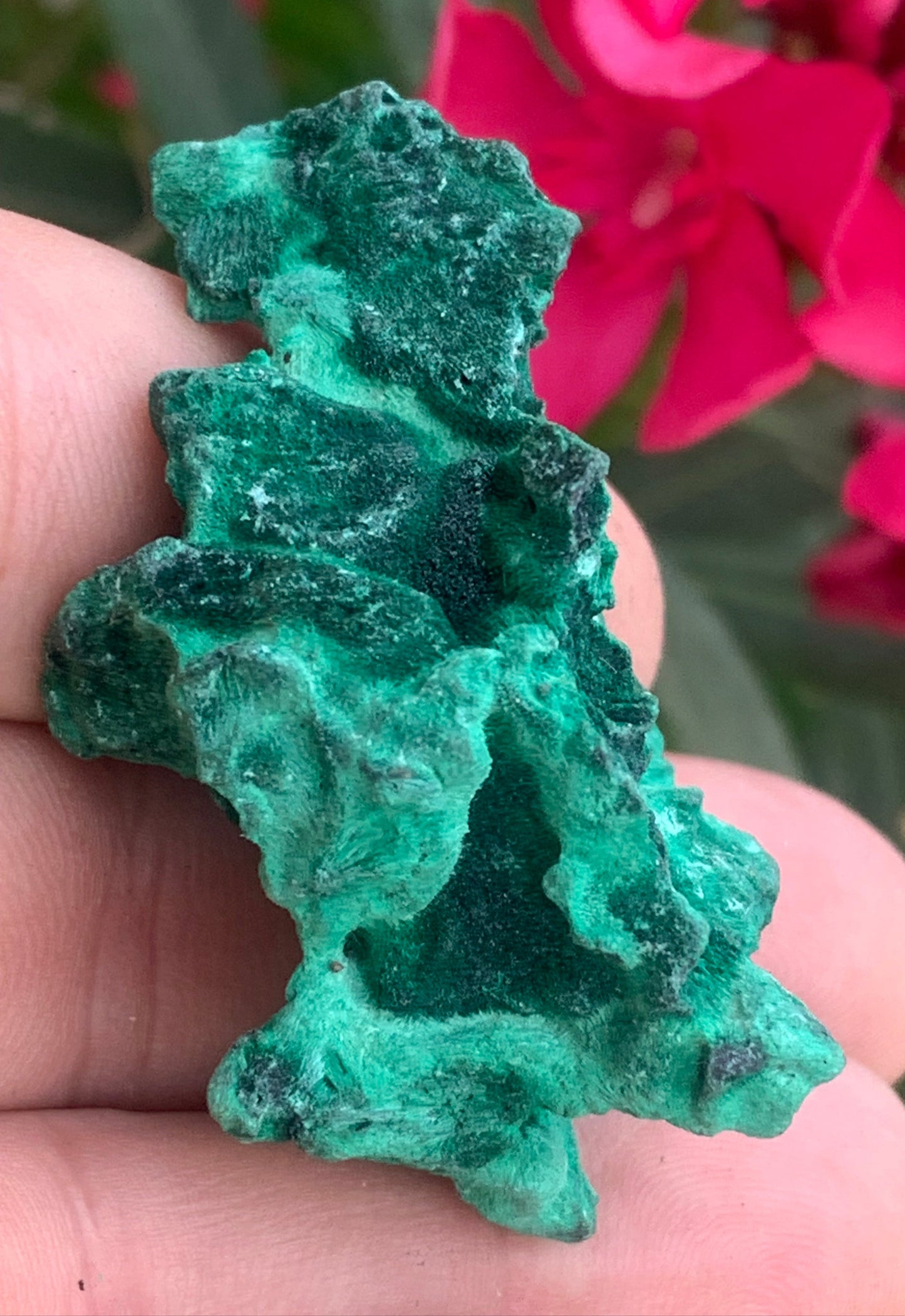 Malachite fibreuse, spécimen brut de 55mm x 30 x 28 - 35,7 grammes. Parfait pour une collection, exposition ou bijouterie, du velour naturel !