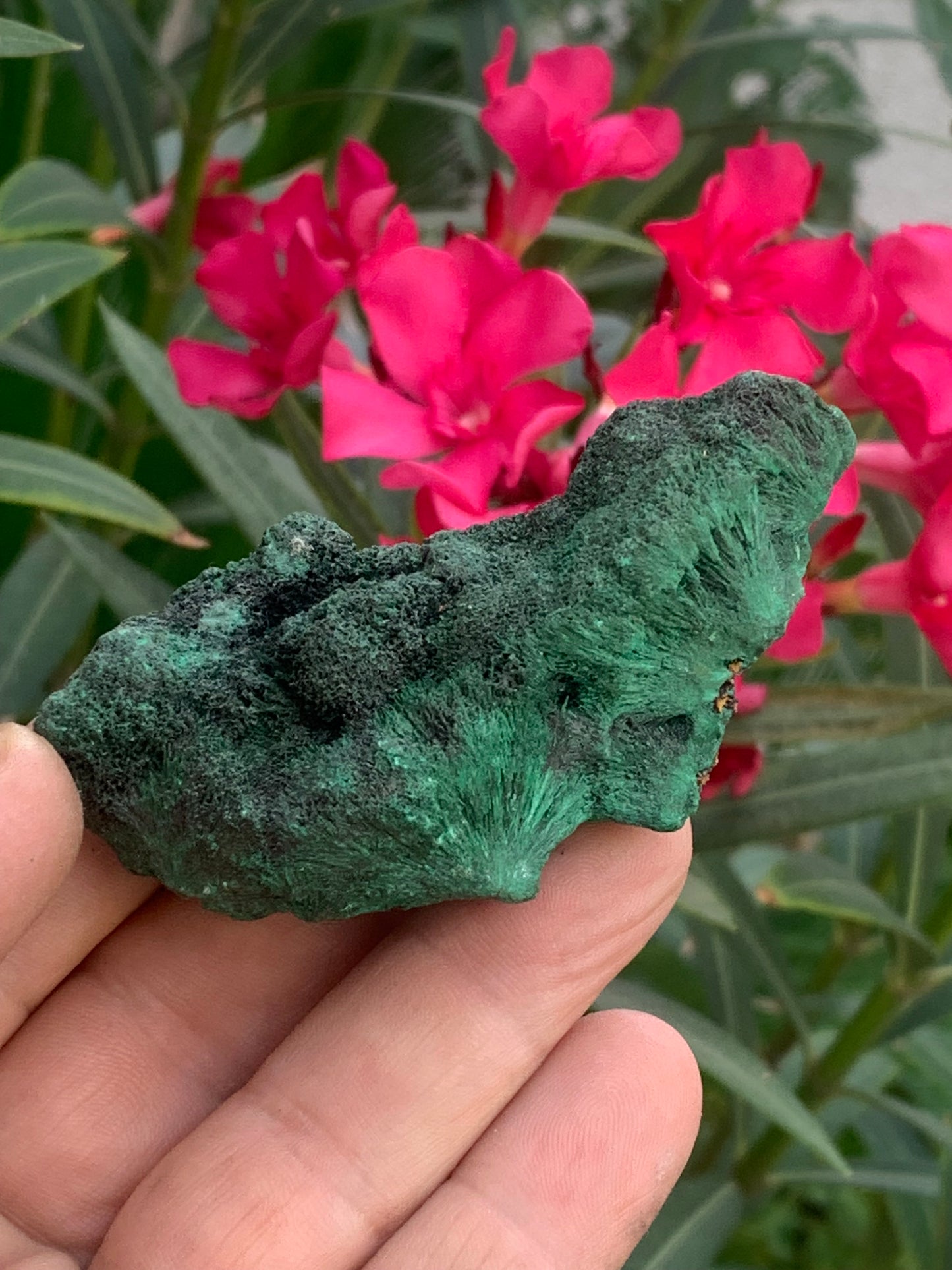 Malachite fibreuse, spécimen brut de 80mm x 43 x 32 - 93,4 grammes. Parfait pour une collection, exposition ou bijouterie, du velour naturel !