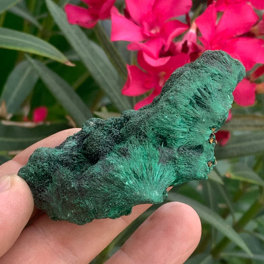 Malachite fibreuse, spécimen brut de 80mm x 43 x 32 - 93,4 grammes. Parfait pour une collection, exposition ou bijouterie, du velour naturel !