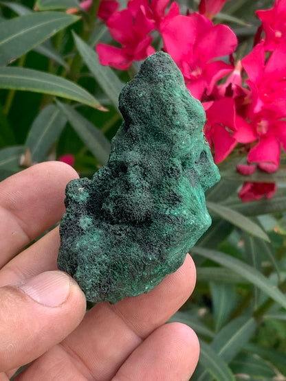 Malachite fibreuse, spécimen brut de 80mm x 43 x 32 - 93,4 grammes. Parfait pour une collection, exposition ou bijouterie, du velour naturel !