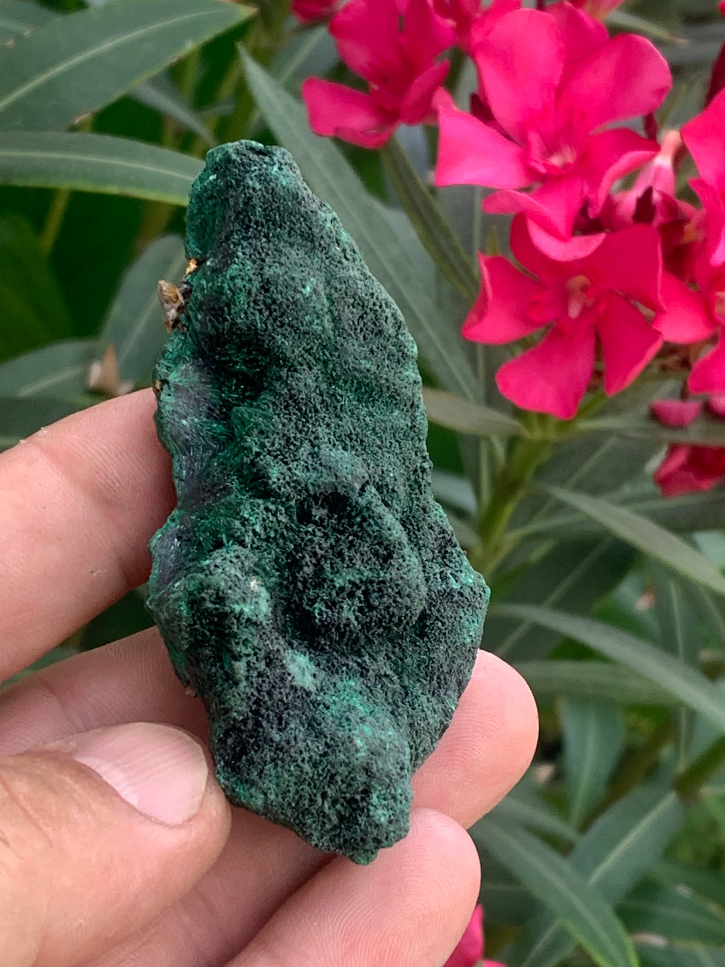 Malachite fibreuse, spécimen brut de 80mm x 43 x 32 - 93,4 grammes. Parfait pour une collection, exposition ou bijouterie, du velour naturel !