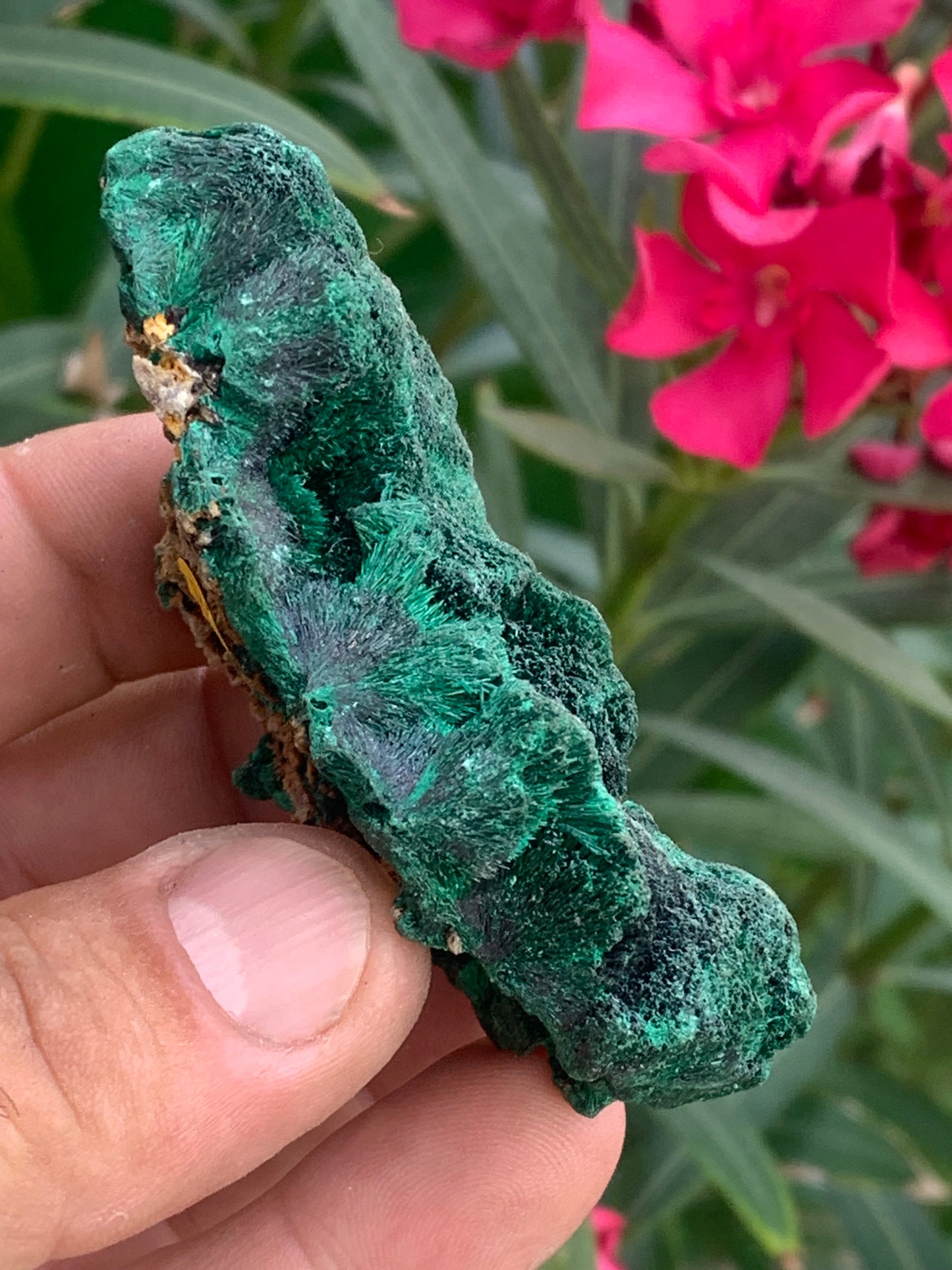 Malachite fibreuse, spécimen brut de 80mm x 43 x 32 - 93,4 grammes. Parfait pour une collection, exposition ou bijouterie, du velour naturel !