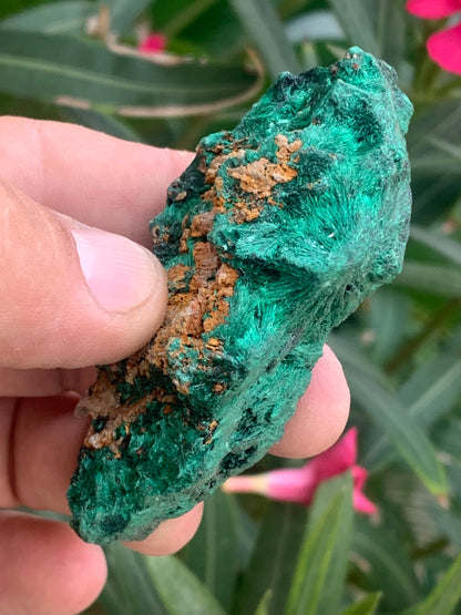 Malachite fibreuse, spécimen brut de 80mm x 43 x 32 - 93,4 grammes. Parfait pour une collection, exposition ou bijouterie, du velour naturel !