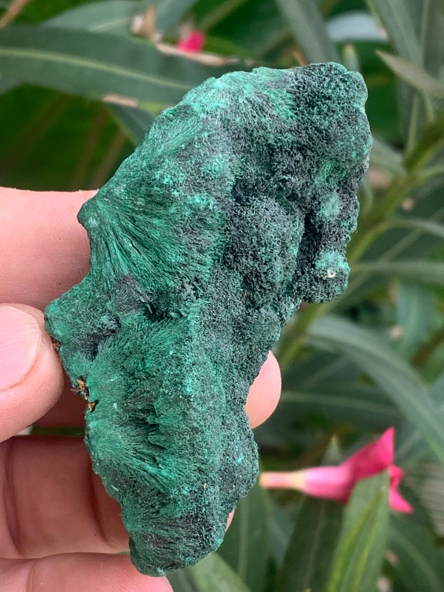 Malachite fibreuse, spécimen brut de 80mm x 43 x 32 - 93,4 grammes. Parfait pour une collection, exposition ou bijouterie, du velour naturel !