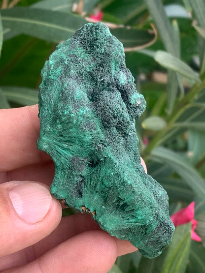 Malachite fibreuse, spécimen brut de 80mm x 43 x 32 - 93,4 grammes. Parfait pour une collection, exposition ou bijouterie, du velour naturel !