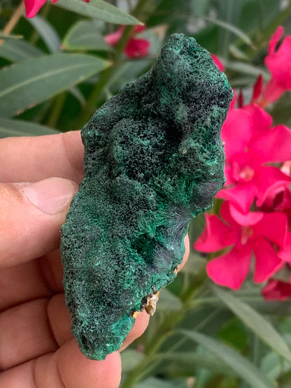 Malachite fibreuse, spécimen brut de 80mm x 43 x 32 - 93,4 grammes. Parfait pour une collection, exposition ou bijouterie, du velour naturel !