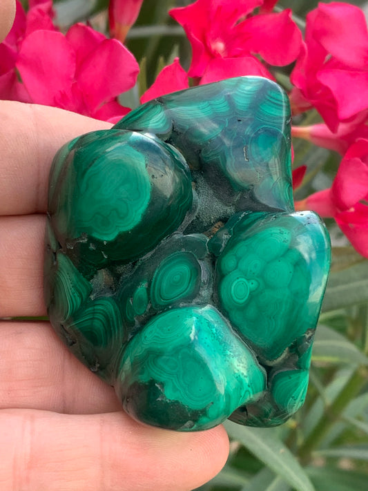 Malachite, spécimen avec nodules/ botryoïdes de 75mm x 54 x 30 - 207,7 grammes . Parfait pour une collection, exposition, décoration !