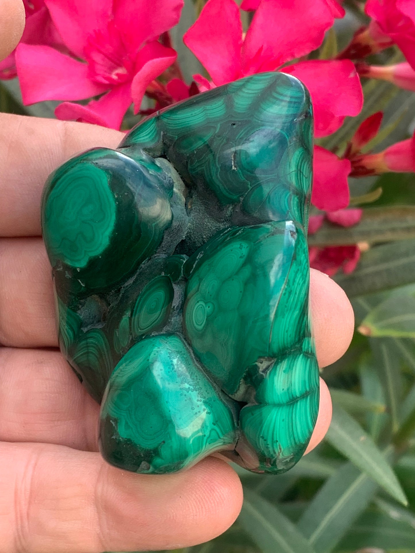 Malachite, spécimen avec nodules/ botryoïdes de 75mm x 54 x 30 - 207,7 grammes . Parfait pour une collection, exposition, décoration !