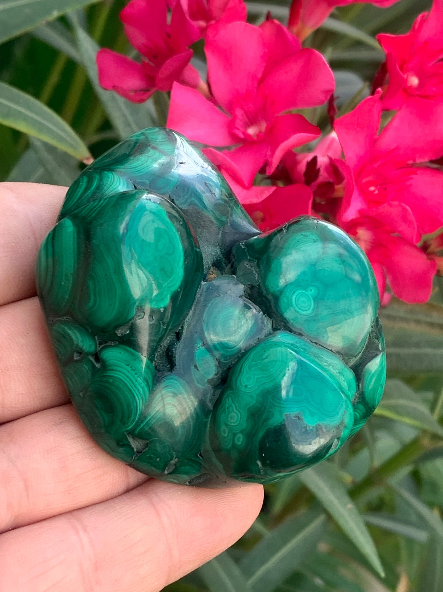 Malachite, spécimen avec nodules/ botryoïdes de 75mm x 54 x 30 - 207,7 grammes . Parfait pour une collection, exposition, décoration !
