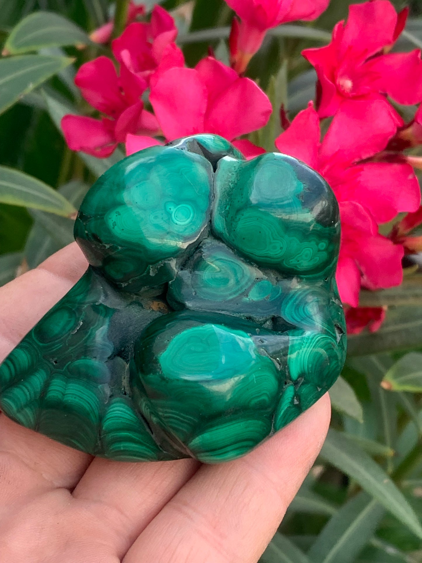 Malachite, spécimen avec nodules/ botryoïdes de 75mm x 54 x 30 - 207,7 grammes . Parfait pour une collection, exposition, décoration !